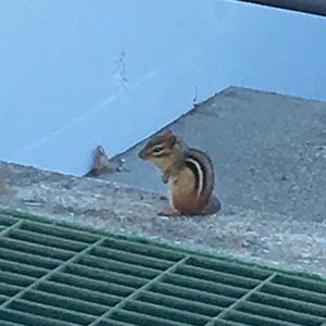 Meet your Posher, Nancy